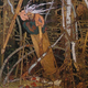 Illustration for article titled Meet Baba Yaga, The Witchiest Witch Of Them All